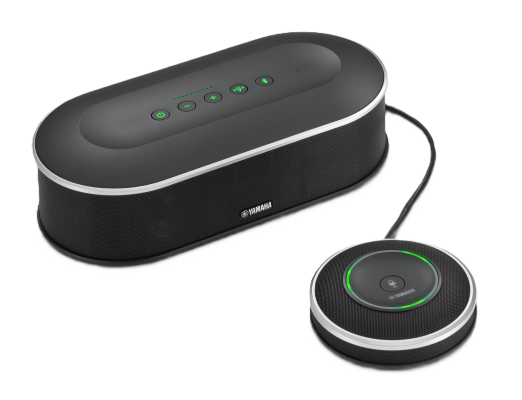 AVC-TrueConf-ATC-Group-Silent / FullHD Видеотерминал TrueConf (Кодек (без MCU), с картой захвата, PTZ-камера TrueConf 2512U3H, Yamaha YVC-1000 с доп.микрофоном YVC-MIC1000, TrueConf Control Panel 8, TrueConf Share Standard 4K, ПУ, Набор кабелей)